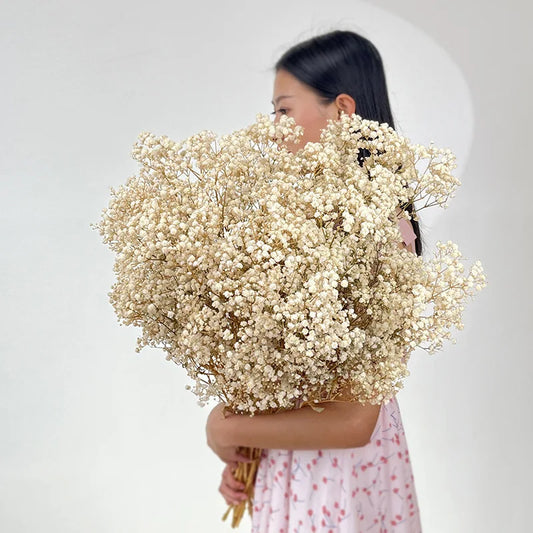 Fresh Gypsophila Paniculata Bouquets